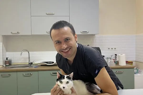 Keçiören Tepebaşı Veteriner Kliniği - Resim 12