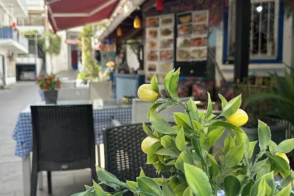 BODRUM MASALI CAFE RESTAURANT - Resim 17