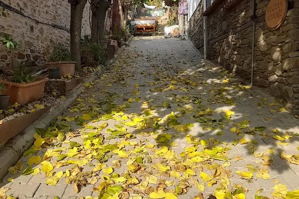 İzzet Efendi zekiye hanım pansiyon taş konak birgi. - Resim 12