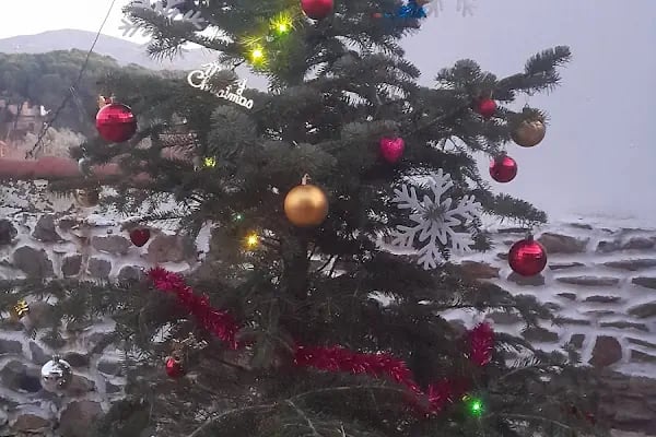 İzzet Efendi zekiye hanım pansiyon taş konak birgi. - Resim 20