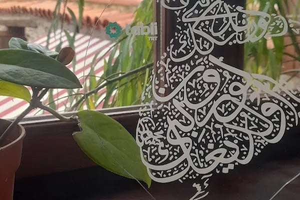 İzzet Efendi zekiye hanım pansiyon taş konak birgi. - Resim 17