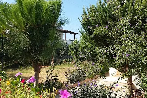 Gökçe Evleri - Resim 9