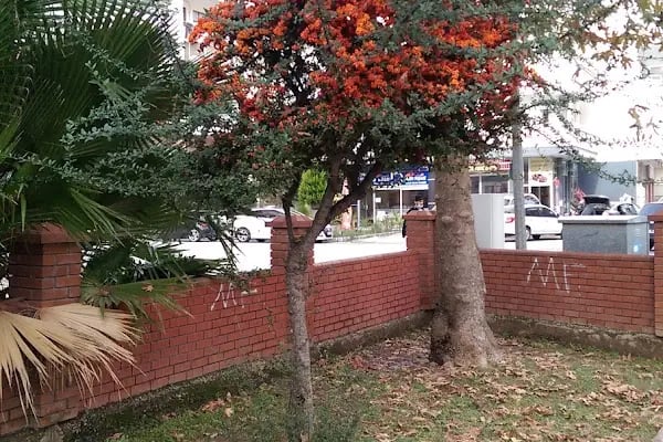 Karagöz Çocuk Parkı - Resim 9