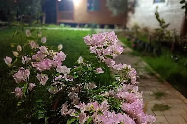 Finike Bungalov - Resim 11