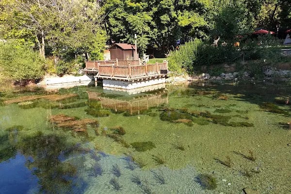 Orduzu Pınar Başı Yüzme Havuzu - Resim 13
