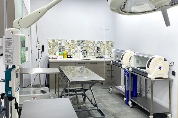 Emineller Veteriner Kliniği - Resim 2