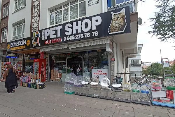 Sinem Petshop Akvaryum - Resim 18