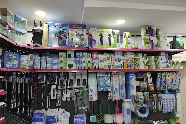 Sinem Petshop Akvaryum - Resim 16