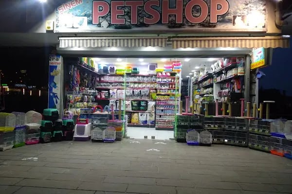 Sinem Petshop Akvaryum - Resim 6