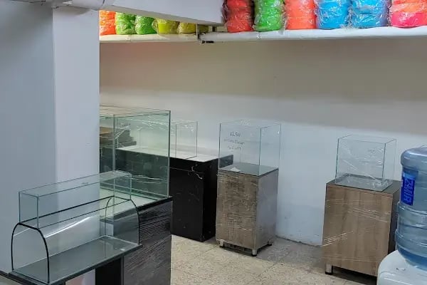 Bornova Akvaryum - Resim 14