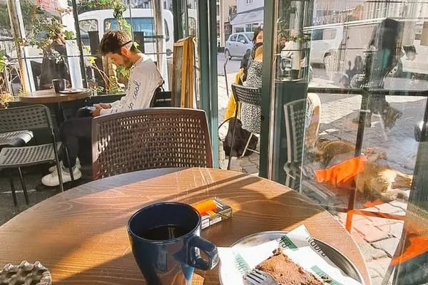 Bjørn Coffee Buca - Resim 6