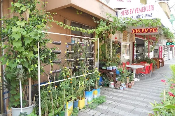 nefis ev yemekleri - Resim 4