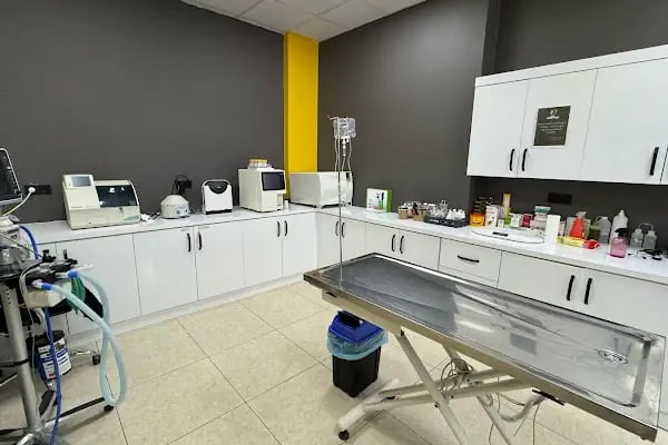 Onikişubat Veteriner Kliniği - Resim 4
