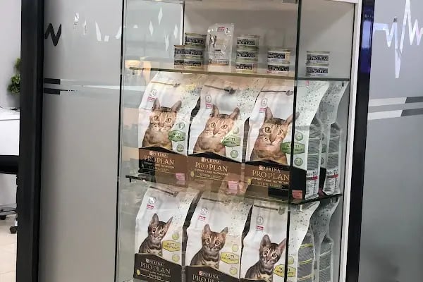Onikişubat Veteriner Kliniği - Resim 17