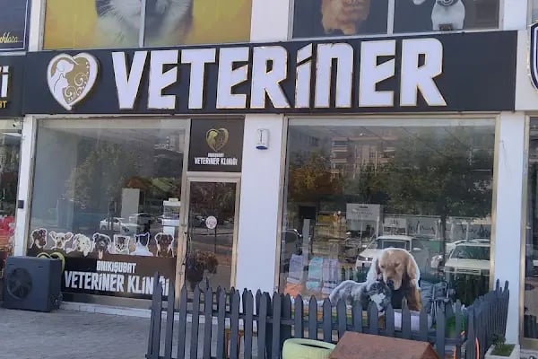 Onikişubat Veteriner Kliniği - Resim 11