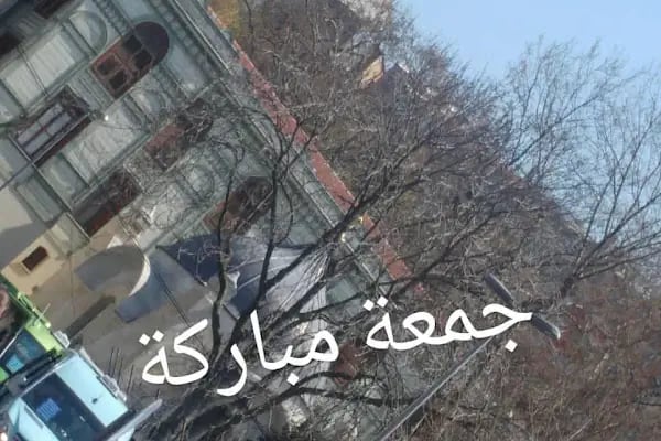 Beşiktaş Vetlove Veteriner Kliniği - Resim 19