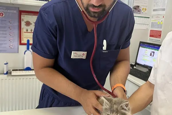 Beşiktaş Vetlove Veteriner Kliniği - Resim 15