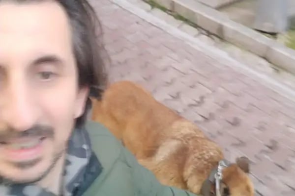Beşiktaş Vetlove Veteriner Kliniği - Resim 20