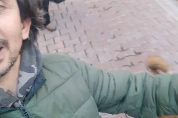 Beşiktaş Vetlove Veteriner Kliniği - Resim 18