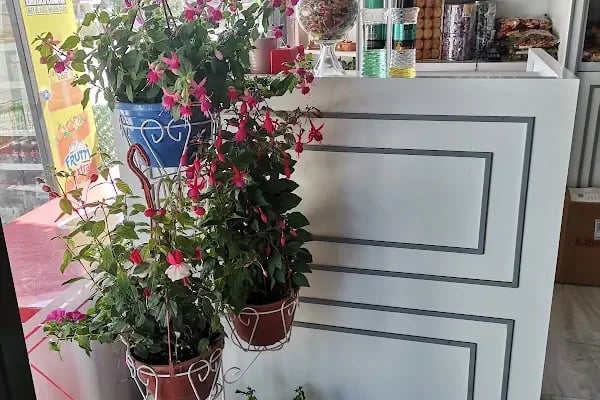 Tatlı Tuzlu Bir Derya - Resim 11