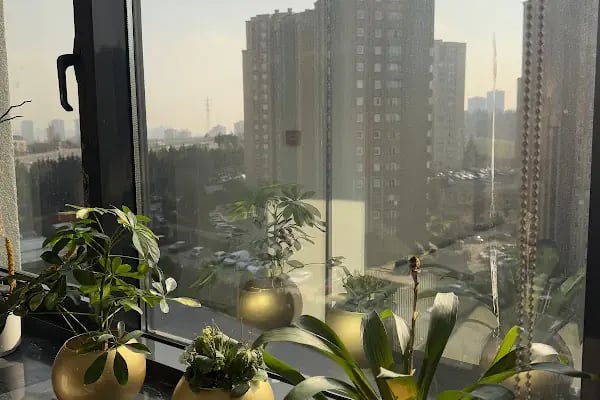 Uzm. Klinik Psikolog Berfin Cihan - Resim 2