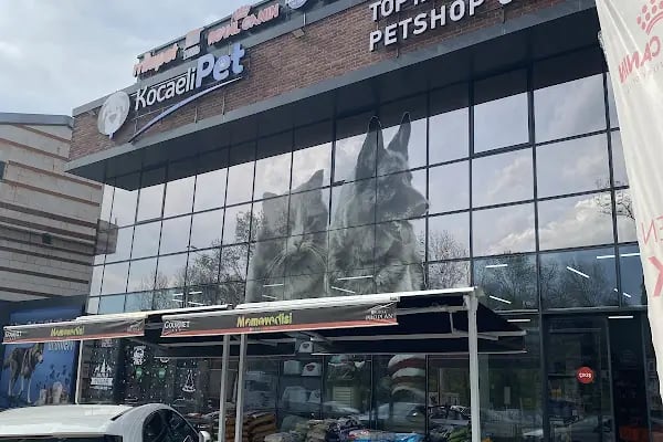 KOCAELİPET PET SHOP EVCİL HAYVAN ÜRÜLERİ - Resim 7