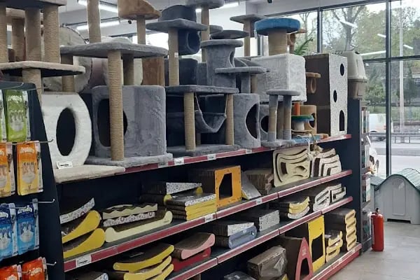 KOCAELİPET PET SHOP EVCİL HAYVAN ÜRÜLERİ - Resim 19