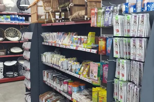 KOCAELİPET PET SHOP EVCİL HAYVAN ÜRÜLERİ - Resim 11