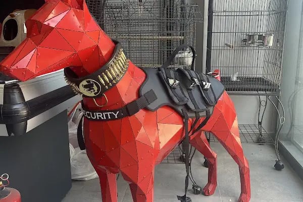 KOCAELİPET PET SHOP EVCİL HAYVAN ÜRÜLERİ - Resim 6