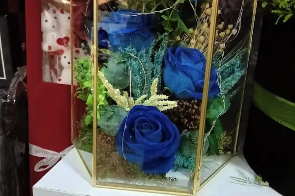 Figen Çiçek - Resim 4