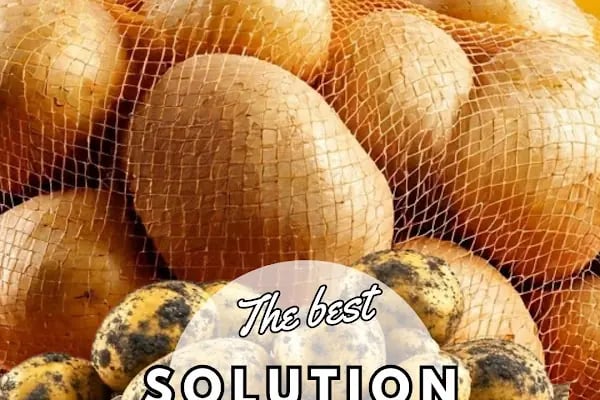 Filpak Paketleme ve Dolum Tesisleri Sanayi ve Ticaret A.Ş. - Resim 20