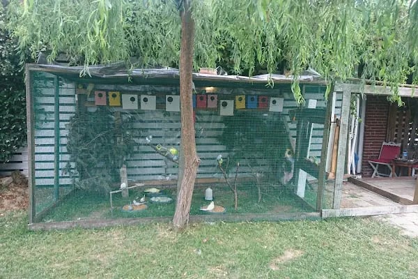 Balaban Sosyal Tesisleri Yüzme Havuzu - Resim 13