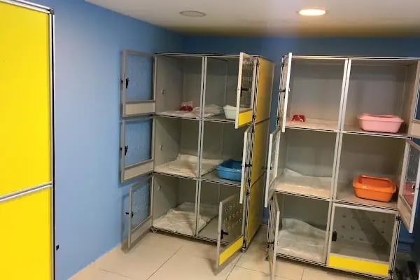 AYDINLIKEVLER METROPOL VETERİNER KLİNİĞİ - Resim 9
