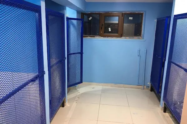 AYDINLIKEVLER METROPOL VETERİNER KLİNİĞİ - Resim 12