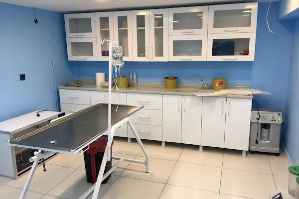 AYDINLIKEVLER METROPOL VETERİNER KLİNİĞİ - Resim 4