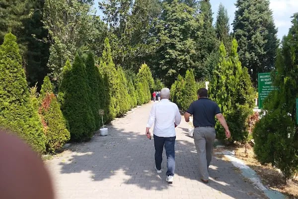 Yorgalar Ve Şehitlik Mezarlığı - Resim 3