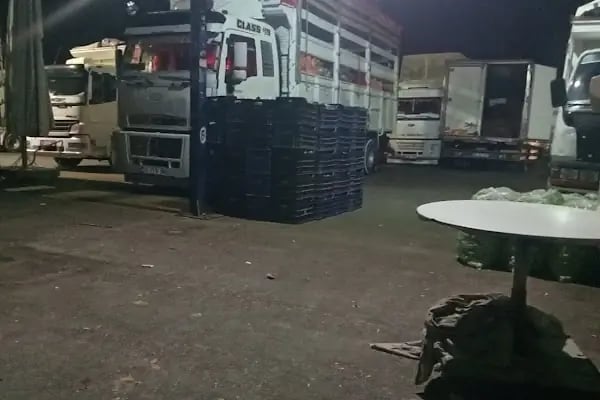 RAFET MUTLU ve OĞULLARI SEBZE MEYVE HAL NO:43 - Resim 5