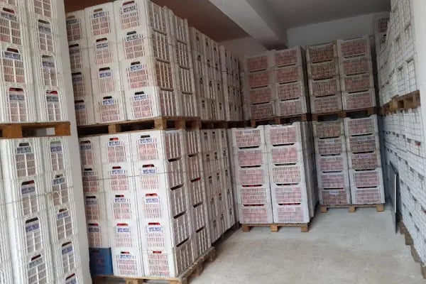 RAFET MUTLU ve OĞULLARI SEBZE MEYVE HAL NO:43 - Resim 18