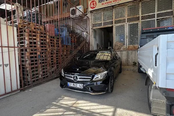 RAFET MUTLU ve OĞULLARI SEBZE MEYVE HAL NO:43 - Resim 12