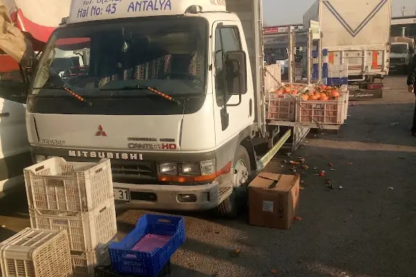 RAFET MUTLU ve OĞULLARI SEBZE MEYVE HAL NO:43 - Resim 2