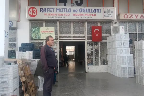 RAFET MUTLU ve OĞULLARI SEBZE MEYVE HAL NO:43 - Resim 15