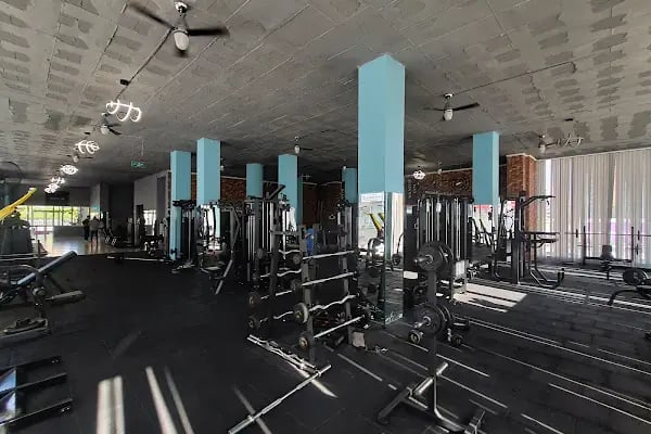 WANTED GYM - Resim 13