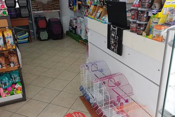 ÜNLÜ PET SHOP MUHABBET KUŞU DÜNYASI - Resim 19