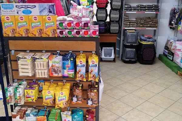 ÜNLÜ PET SHOP MUHABBET KUŞU DÜNYASI - Resim 8