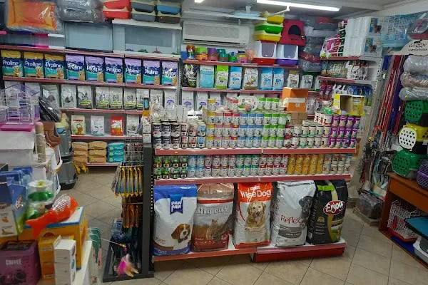 ÜNLÜ PET SHOP MUHABBET KUŞU DÜNYASI - Resim 5