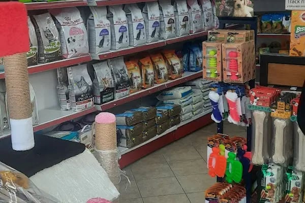 ÜNLÜ PET SHOP MUHABBET KUŞU DÜNYASI - Resim 2
