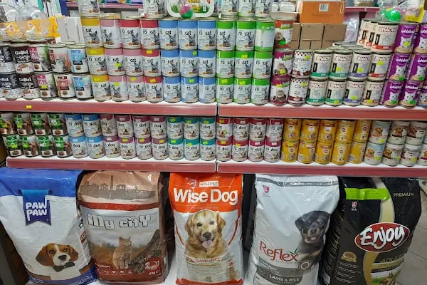 ÜNLÜ PET SHOP MUHABBET KUŞU DÜNYASI - Resim 18