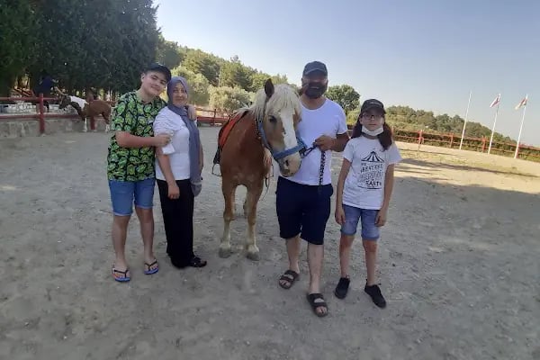 At Çiftliği - Resim 2