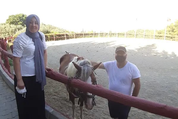 At Çiftliği - Resim 3