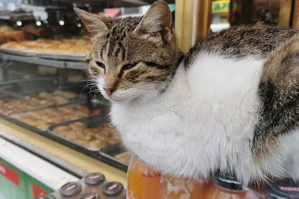 MMM Migros - Şirinyer Şubesi - Resim 7